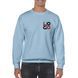 Sky blue raglan with your logo