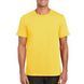 SoftStyle 153 t-shirt with your LOGO, daisy, S, daisy